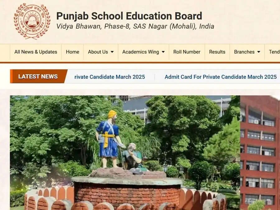 Result 2025-&nbsp;PSEB&nbsp;5वीं बोर्ड परीक्षा 2025 का परिणाम, ऐसे करें चेक